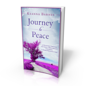 journey to peace 3d